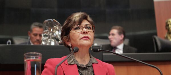 Angélica de la Peña, presidenta de la Comisión de Derechos Humanos del Senado de México - Sputnik Mundo