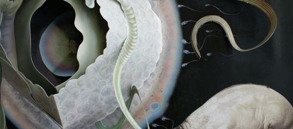 Aborto - Sputnik Mundo