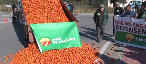Agricultores españoles afectados por las sanciones contra Rusia tiran a la carretera las frutas podridas - Sputnik Mundo
