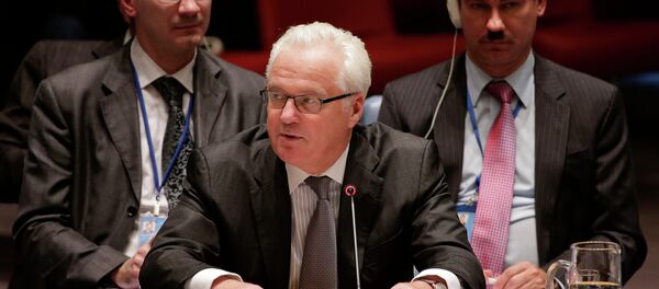Vitaly Churkin - Sputnik Mundo