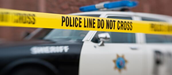 Crímenes violentos en EEUU alcanzan sus cifras más altas en veinte años - Sputnik Mundo