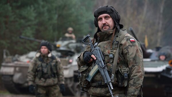 Polish Soldier with Beryl Assault Rifle - Sputnik Mundo