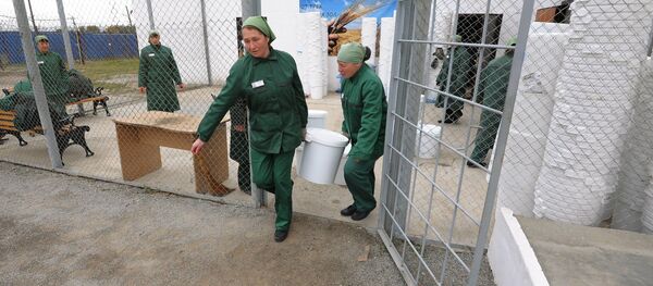 Rusia prepara una amnistía para el 70º aniversario de la victoria en la II Guerra Mundial - Sputnik Mundo