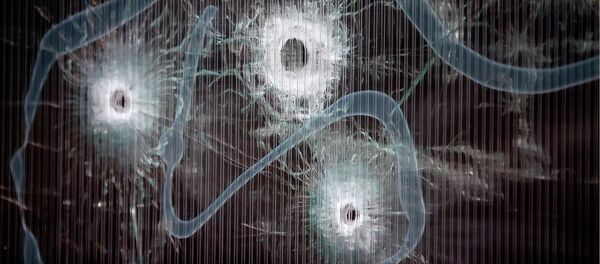 Dinamarca: terror islamista contra la libertad - Sputnik Mundo