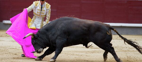 Коррида в Испании - Sputnik Mundo
