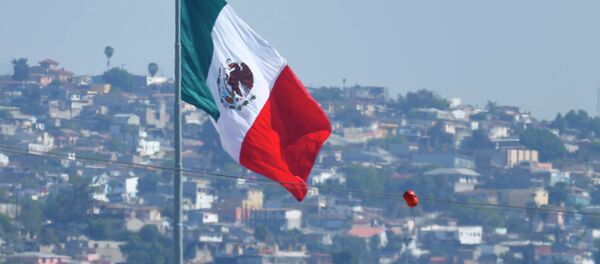 Agente de la patrulla fronteriza de EEUU cerca de frontera México-Estados Unidos - Sputnik Mundo