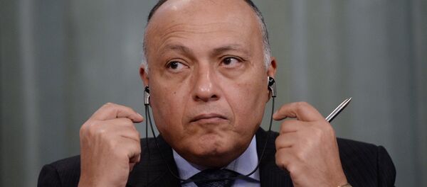 Sameh Shukri, ministro de Asuntos Exteriores de Egipto Sameh Shukri, ministro de Asuntos Exteriores de Egipto - Sputnik Mundo