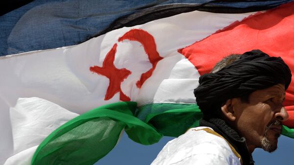 A pro-independence Polisario Front supporter looks on during a military parade as a Western Sahara flag flies in the breeze in the village of Tifariti - Sputnik Mundo