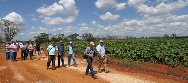 Miembros de la Coalición Agrícola de Estados Unidos para Cuba en una granja en Cuba - Sputnik Mundo