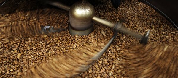 Производство кофе в Московской области - Sputnik Mundo