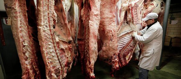 Un frigorífico - Sputnik Mundo