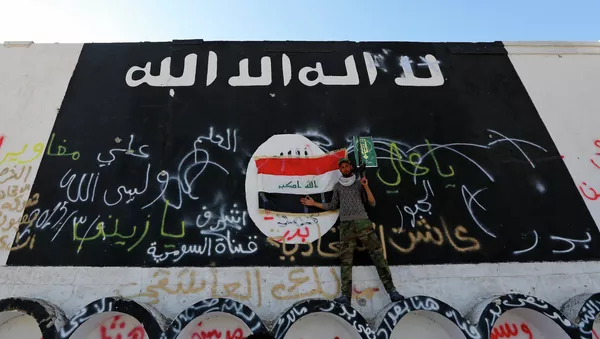 Uso de armas químicas por parte de EI en Irak no representa amenaza estratégica, afirma un experto - Sputnik Mundo