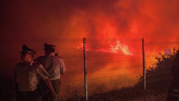 Alerta roja en Valparaíso por incendio forestal - Sputnik Mundo