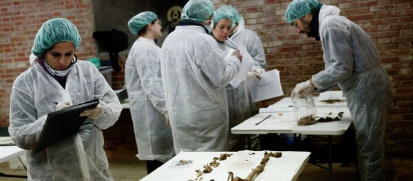 Los restos de Cervantes Los restos de Cervantes - Sputnik Mundo