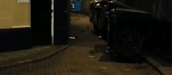 La invasión de ratas gigantes - Sputnik Mundo