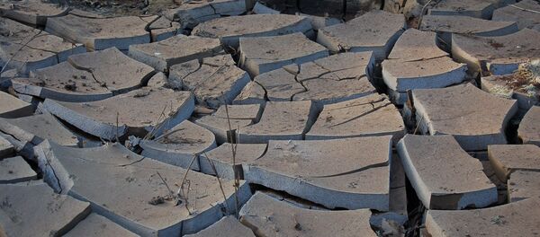 Sequía, impacto de El Niño - Sputnik Mundo