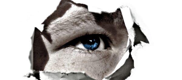 Alemania acusa a espías rusos de manipular la opinión pública europea - Sputnik Mundo