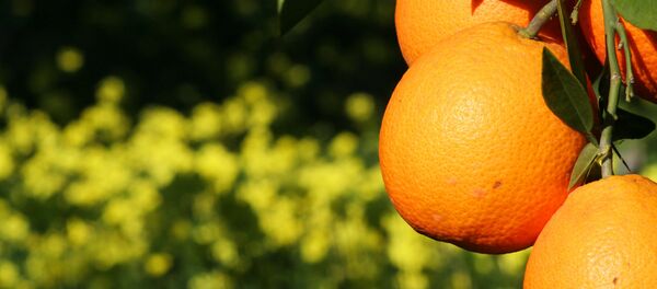 Naranjas Naranjas - Sputnik Mundo