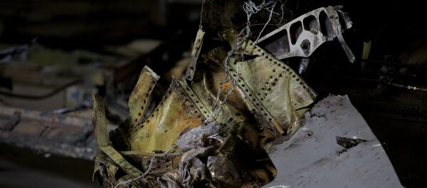 Restos del avión malasio derribado en el este de Ucrania - Sputnik Mundo