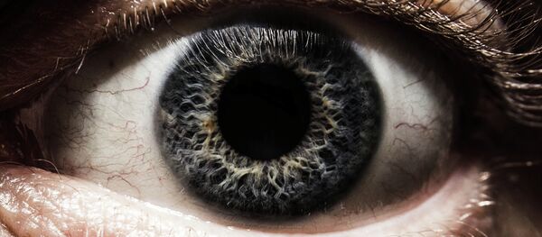 Ojo - Sputnik Mundo