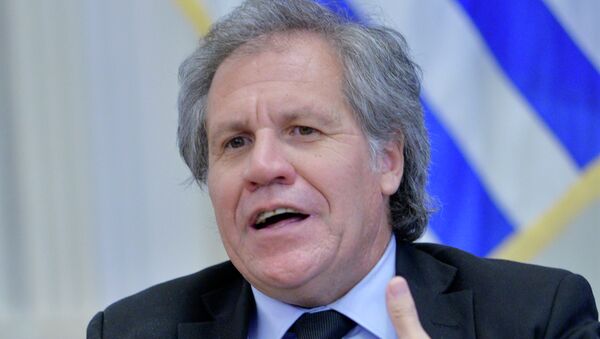 Luis Almagro, Secretario General de la OEA - Sputnik Mundo