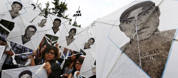 Ombudsman federal pide al gobierno de México atender reclamos de ONU y OEA sobre DDHH - Sputnik Mundo