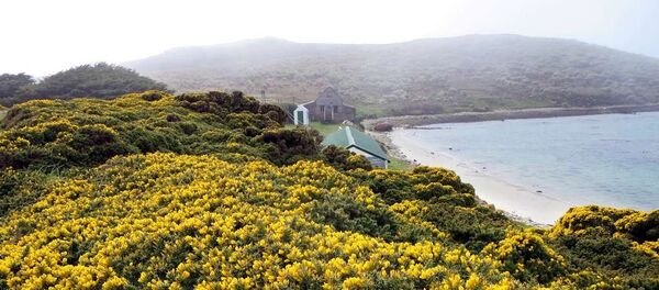 Islas Malvinas - Sputnik Mundo