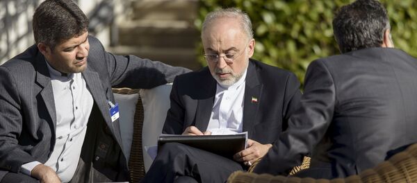 Alí Akbar Salehi, jefe de la Agencia de Energía Atómica de Irán, en Lausana - Sputnik Mundo