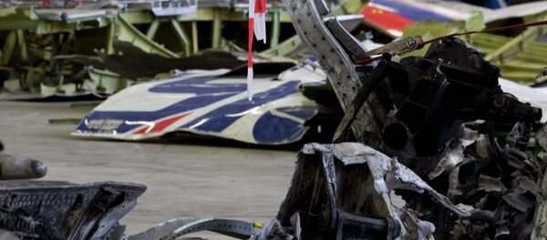 Restos del avión malasio derribado en el este de Ucrania - Sputnik Mundo