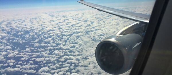 Vista por la ventana del Airbus A321 - Sputnik Mundo