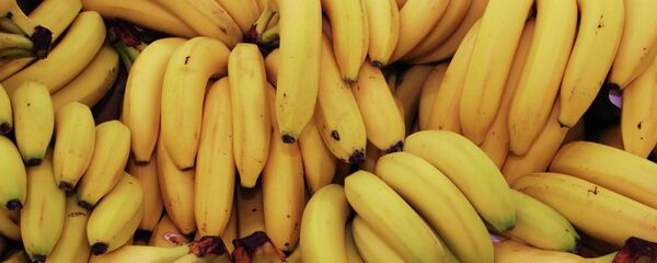 Plátanos (imagen referencial) Plátanos (imagen referencial) - Sputnik Mundo