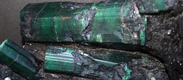 Esmeralda Bahía - Sputnik Mundo