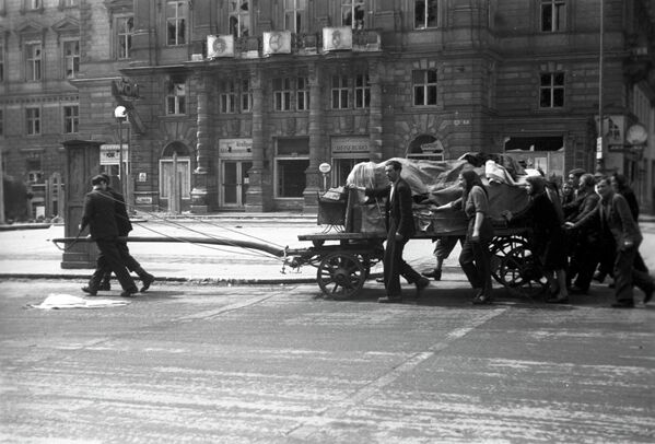 Día Internacional de la Liberación de los Campos de Concentración Nazis - Sputnik Mundo