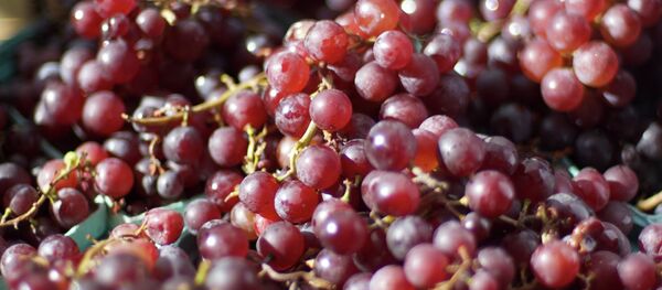 Uvas - Sputnik Mundo