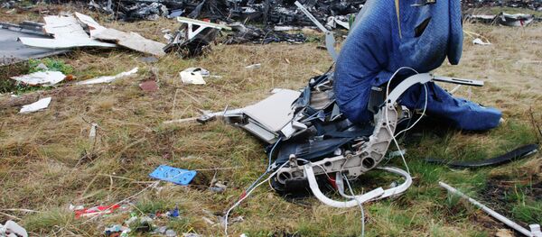 Los restos del avión MH17 derribado en el este de Ucrania Los restos del avión MH17 derribado en el este de Ucrania - Sputnik Mundo