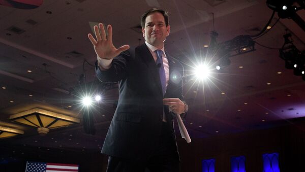 Marco Rubio, senador de Florida - Sputnik Mundo