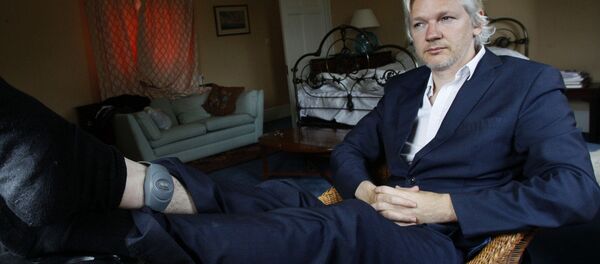 Julian Assange, fundador de Wikileaks - Sputnik Mundo
