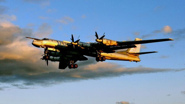 Tu-95MS strategic bomber - Sputnik Mundo