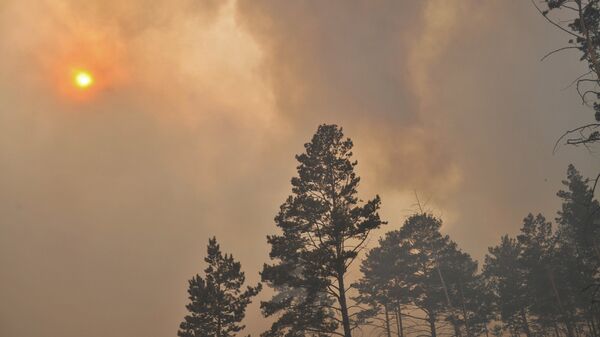 Incendios forestales en Rusia - Sputnik Mundo