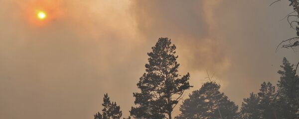 Incendios forestales in Siberia - Sputnik Mundo