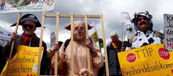 Protestas contra el Tratado de Libre Comercio entre Estados Unidos y la Unión Europea en Alemania - Sputnik Mundo