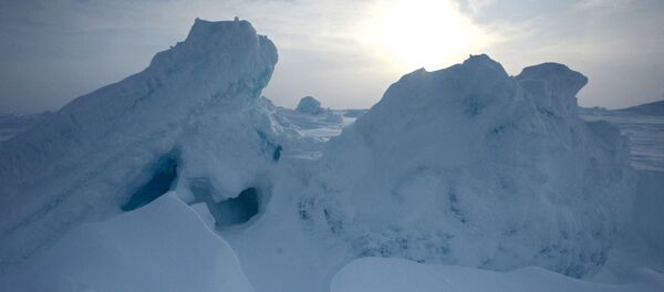Ártico - Sputnik Mundo