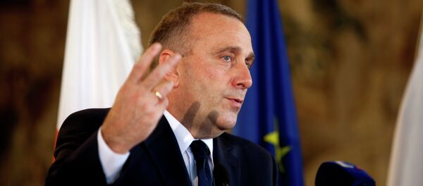 Grzegorz Schetyna, ministro de Exteriores de Polonia - Sputnik Mundo