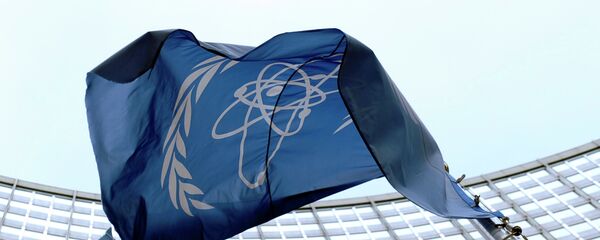 La bandera de OIEA - Sputnik Mundo