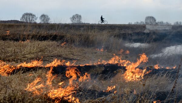 Incendios en Siberia - Sputnik Mundo