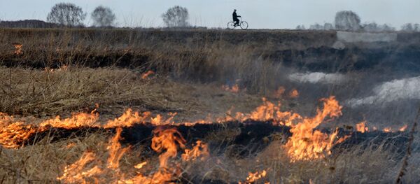 Incendios en Siberia - Sputnik Mundo