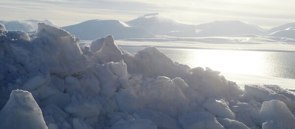 El Ártico El Ártico - Sputnik Mundo