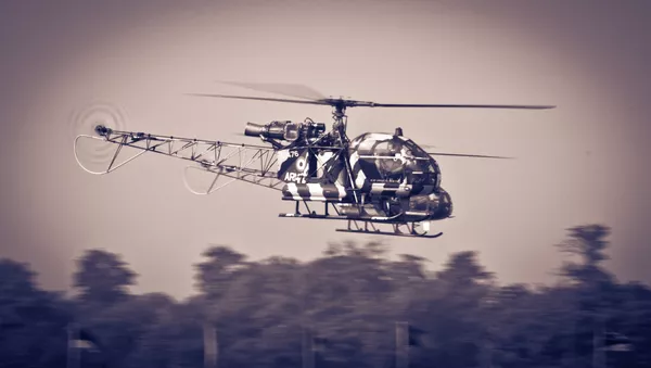 HAL Cheetah (Aérospatiale SA 315 Lama) - Sputnik Mundo