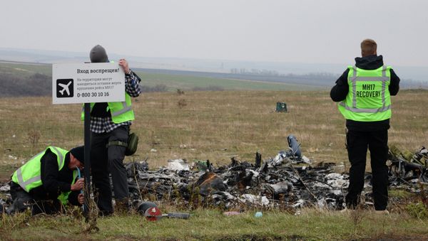 Alemania sabía del peligro para los vuelos sobre Donbás antes del siniestro del MH17 Alemania sabía del peligro para los vuelos sobre Donbás antes del siniestro del MH17 - Sputnik Mundo