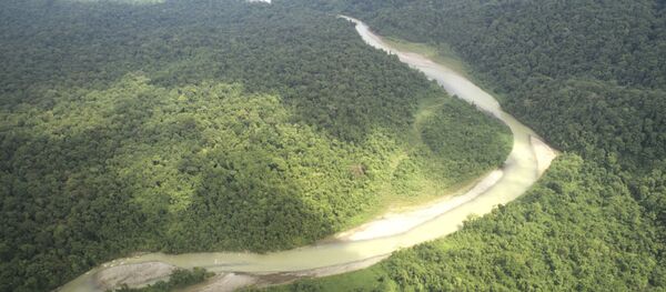 Bosques de Amazonía - Sputnik Mundo